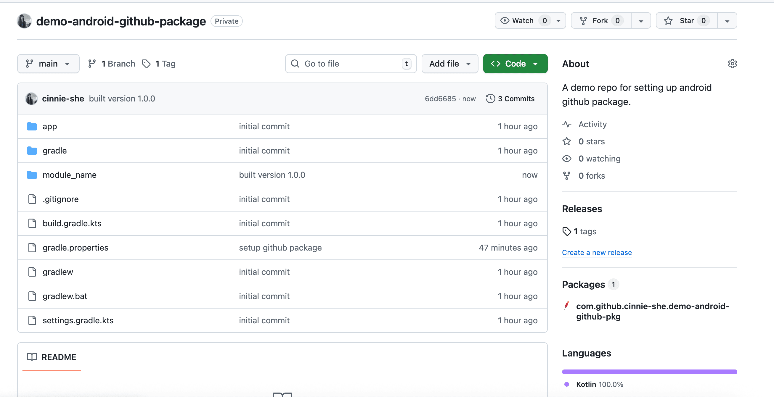 GitHub Package